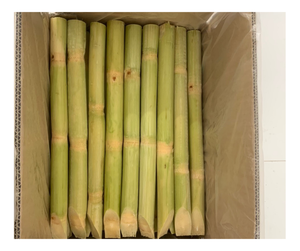 Bâtonnets de canne à sucre congelés de haute qualité fournisseurs du Vietnam canne à sucre sucrée vente en vrac à l'exportation meilleur prix offre de jus de canne à sucre congelé - Product Image 3