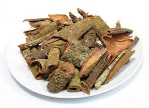 Joss-polvo de madera, árbol y Litsea, glutinosa, jigat, más vendido, de Vietnam - Product Image 5