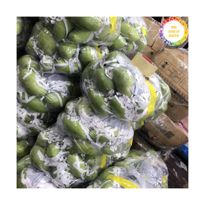 Mangue fraîche provenant du Vietnam, fruit entier de qualité supérieure, idéal pour les usines de boissons, les plats de dessert et les utilisations culinaires générales - Product Image 2