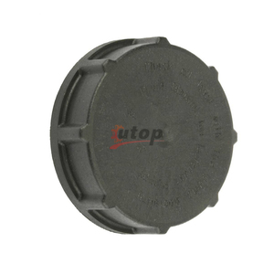 Bouchon de réservoir d'huile 93193396 1998709 1320044 0699214 1696361 1.19152 pour MB-ACTROS VOLVO DAF SCANIA <span class=keywords><strong>IVECO</strong></span> MAN RVI <span class=keywords><strong>Camion</strong></span> européen - Product Image 2