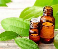 น้ำมันซินนามอนใบอบเชยบริสุทธิ์จาก100% น้ำมันซินนามอนธรรมชาติ100% บริสุทธิ์ - Product Image 5