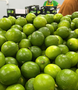 มะนาวไร้เมล็ดสดสำหรับการส่งออกจากเวียดนาม - Product Image 3