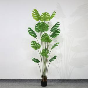 Plante artificielle en plastique Monstera - Grande plante décorative tropicale d'intérieur de 210 cm - Product Image 2