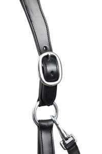 Licol pour cheval en cuir de vache de qualité supérieure avec des accessoires en acier inoxydable robustes, idéal pour les écuries de courses et les cavaliers - Product Image 6