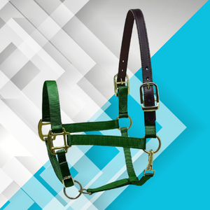 Ecuestre cazador verde cuero ajustable corona nailon caballo Halter PP ecológico logotipo personalizado accesorios para alfombras de caballo - Product Image 1