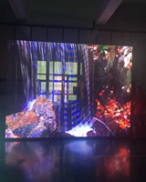 Layar LED Fleksibel Transparan Luar Ruangan Dua Sisi untuk Iklan Jendela & Tampilan Digital Signage dengan SDK dan Tampilan Selamat Datang