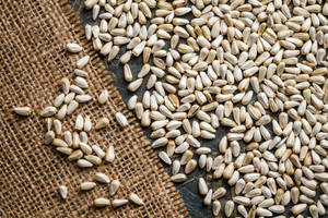 Graines de carthame de qualité supérieure à haute teneur en huile pour le pressage d'huile et l'alimentation des oiseaux |   Carthamus Tinctorius |   Fournisseur en gros |   Prix FOB - Product Image 2