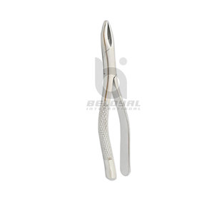 Fórceps de extracción dental anterior de acero inoxidable de calidad superior para dentistas Fórceps de extracción dental - Product Image 3