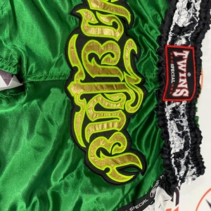 Shorts de Muay Thai professionnels avec logo brodé, dernier design, logo de marque personnalisé imprimé, shorts d'entraînement de kickboxing, MMA - Product Image 3