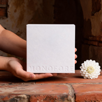 Boîte d'emballage de luxe personnalisée en carton blanc avec insert en velours pour montre-bracelet, bijoux, présentation et rangement