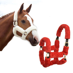 Halter d'équitation de selle western en nylon de haute qualité Best Value PP Halter - Product Image 2