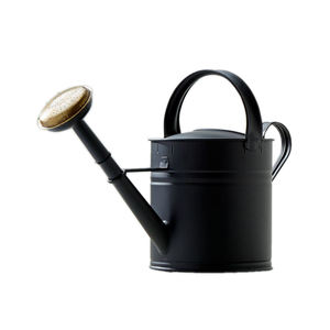 ยอดนิยมรูปไข่โลหะสีแดงเคลือบสําเร็จรูปรดน้ําผู้ผลิตโลหะเหล็กบ้านสวนใช้รดน้ํา - Product Image 5