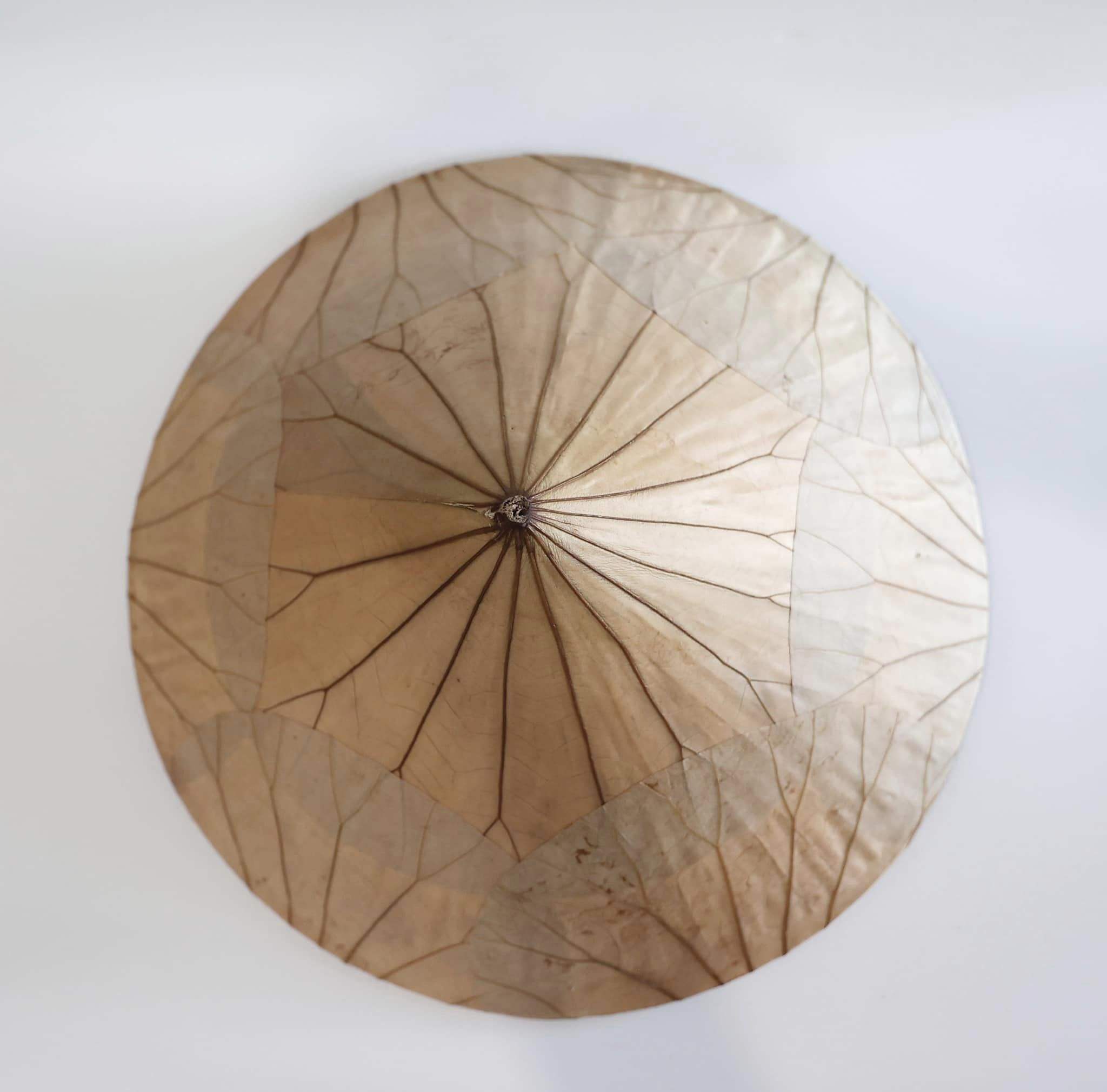 เหลืองอ่อน