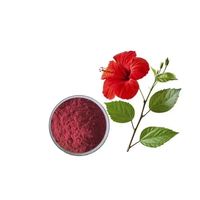Hoogwaardig A+ Graad Wild Hibiscus Fruit Extract Poeder Oplosmiddelextractie Gezondheidsvoeding Vacuüm verpakt Fles/Vat Groothandel