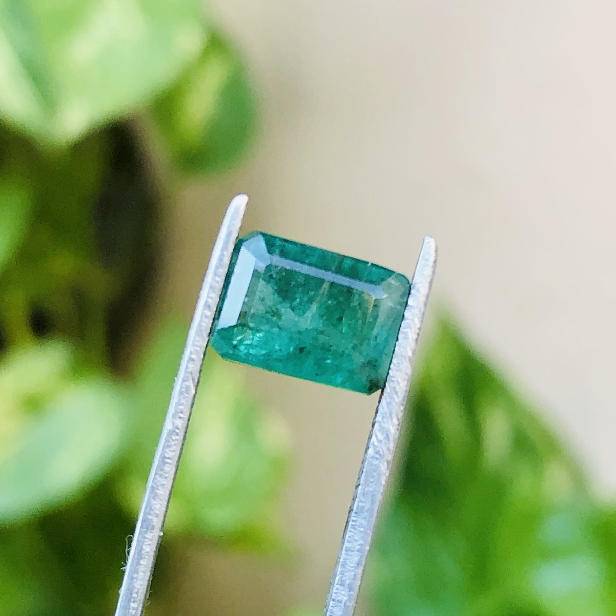 สีเขียว