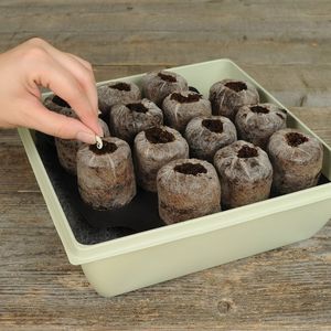 Pellets de tourbe de coco à bon prix fabriqués à partir de fibre de coco au Vietnam à bon prix - Product Image 6