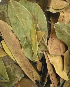 Feuilles de corossol séchées de haute qualité, exportées dans le monde entier - Product Image 5