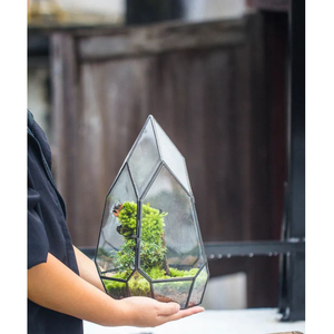 Modern <b>Clear</b> <b>Glass</b> <b>Vase</b> Terrarium for Home & Wedding Decor High Quality Air Plant Flower Terrarium at Best Prices - Product Image 3