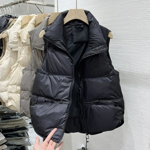 Chaleco de plumón transpirable para mujer 2024 con cuello levantado, chaleco de algodón estampado, chaqueta de moda con forro de viscosa - Product Image 6