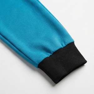 Ensemble de survêtement pour femmes de haute qualité, couleur personnalisée, vêtements décontractés, molleton doux, ensemble de jogging, vêtements de sport, tenue deux pièces tendance - Product Image 6