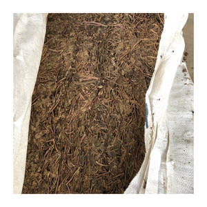 L'usine vietnamienne 99 Gold Data fournit des feuilles de gelée d'herbe séchée pour les marchés de gelée de dessert et de boissons à base de plantes - Product Image 1