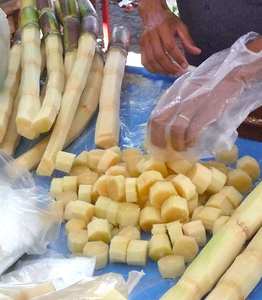 CALIENTE 2025 CAÑA DE AZÚCAR CONGELADA-CAÑA DE AZÚCAR ORIGINAL Exportación de Vietnam con el mejor precio y alta calidad - Product Image 2