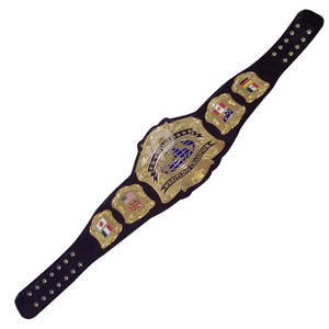 เข็มขัดแชมป์มวยปล้ำเข็มขัดถ้วยรางวัลและรางวัลสัญลักษณ์สูงสุดของชัยชนะและเข็มขัดแชมป์ยอดเยี่ยม - Product Image 5