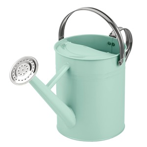 Arrosoir en métal de couleur bleu ciel avec poignée Durable pour l'entretien des plantes de jardinage Utilisation d'arrosage de jardin intérieur et extérieur - Product Image 4