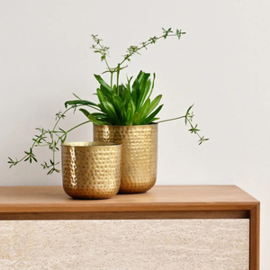 Luxury Hammered Gold Metal Planter Modern Decorative Flower <b>Pot</b> <b>Indoor</b> <b>Plant</b> <b>Pot</b> For Home Office Living Room Bedroom Garden - Product Image 6