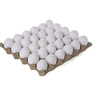 Huevos Frescos de Gallina de Corral con Cáscara Marrón al por Mayor y Huevos Frescos de Gallina de Corral con Cáscara Blanca - Product Image 4