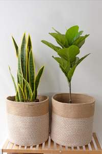 Jardinière en corde de macramé en coton pour plantes d'intérieur, offrant un support durable et un look artisanal élégant - Product Image 3