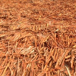 แท่งซินนามอนจากประเทศจีนต้นพืชเก็บเกี่ยวใหม่ - Product Image 6