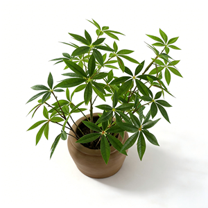 Glücksbaum Künstliche Pflanze Faux Pachira im Keramiktopf mit Dekorativem Boden Wohlstands-Heimdekoration - Product Image 3