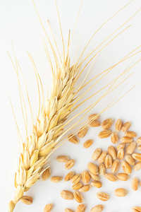 Grano de trigo integral a granel Granos de trigo de grado premium para la venta - Product Image 2