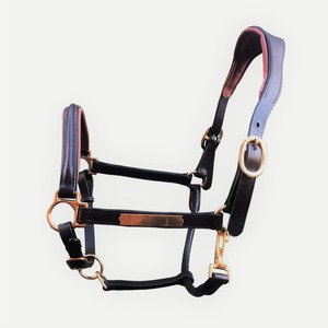 Halter de cuello de cabeza de caballo de color negro con accesorios de latón de cuero completamente elevados y acolchados Peines de curry - Product Image 4