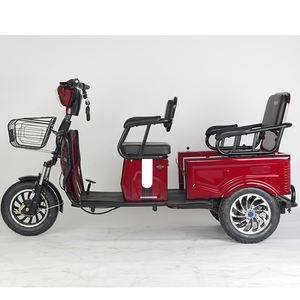 Nouvelle offre: tricycle électrique à trois roues pour les charges lourdes et l'utilisation par les passagers - Product Image 1