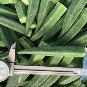 Okra congelada IQF Granja Suministro directo Sabor fresco Verduras congeladas al por mayor - Product Image 1