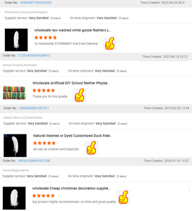 Bán Buôn DIY Thủ Công Mỹ Nghệ Nhuộm Màu Trắng Tự Nhiên Cánh Lông Ngỗng Cho Đảng Lễ Hội Lễ Hội Giáng Sinh Millnery Hat Fascinator Trang Trí Nội Thất - Product Image 6