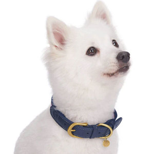 ปลอกคอสุนัขหนังทนทาน ดีไซน์เสริมความแข็งแรง ปรับขนาดได้ สำหรับสุนัขขนาดเล็ก กลาง และใหญ่ - Product Image 3