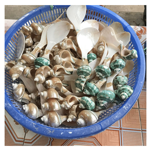 Cuillère en nacre faite à la main pour les coupes à dessert, les services à thé et les emballages cadeaux, Vietnam - Product Image 2