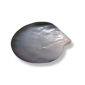 Plat de service en bambou biodégradable de haute qualité en nacre, décoration côtière, présentoir, vaisselle de luxe pour restaurants - Product Image 1