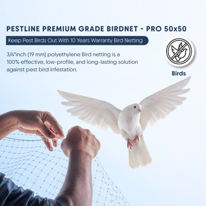 PESTLINE PRO 50x50 Bird Netting High Durability Plastic <strong>Net</strong> For Effective Bird Infestation Control - Product Image 6