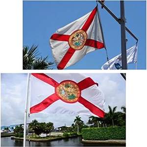 Drapeau de l'État de la Floride 3x5 pieds pour extérieur, drapeaux double face à 3 couches, en polyester avec 2 œillets en laiton pour l'extérieur/l'intérieur (Floride) - Product Image 2