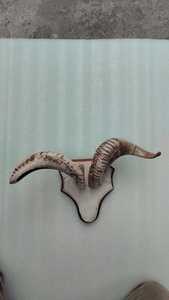 Antique Sheep Horn Wall Mounted <b>Lamp</b> <b>Vintage</b> Funky Home Decor with Goat Skin Plaque Carved Natural Crafts by GM Impex on Sale - Product Image 6