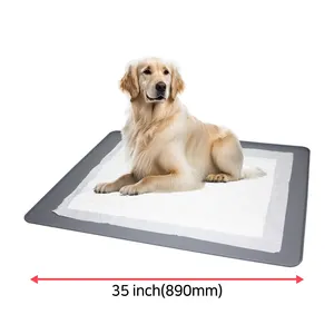 Fournisseur coréen Vente en gros de toilette de dressage pour chiens de compagnie Pot pour chiens d'intérieur Coussin de grande taille Plateau de support en silicone Toilette pour animaux de compagnie