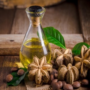 Vietnam exporta aceite de sacha inchi prensado en frío-alta calidad, conservando una nutrición completa - Product Image 5