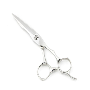Finition de ciseaux de poignée de dragon sur mesure ciseaux de coiffeur polonais meilleurs ciseaux de coupe de cheveux de coiffeur fabriqués directement en usine - Product Image 1