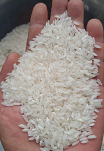 Japonica vietnamien jasmin riz long grain Style frais importation de Jersey OO84825431311 pour l'Europe - Product Image 2