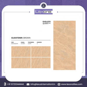 Azulejos de cerámica de porcelana mate estándar europeo: gran formato 24x48 pulgadas/600x1200mm para superficie pulida de suelo y pared - Product Image 2
