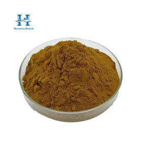Chất lượng cao 20% 50% bacoposides <span class=keywords><strong>bacopa</strong></span> <span class=keywords><strong>monnieri</strong></span> chiết xuất bột - Product Image 1